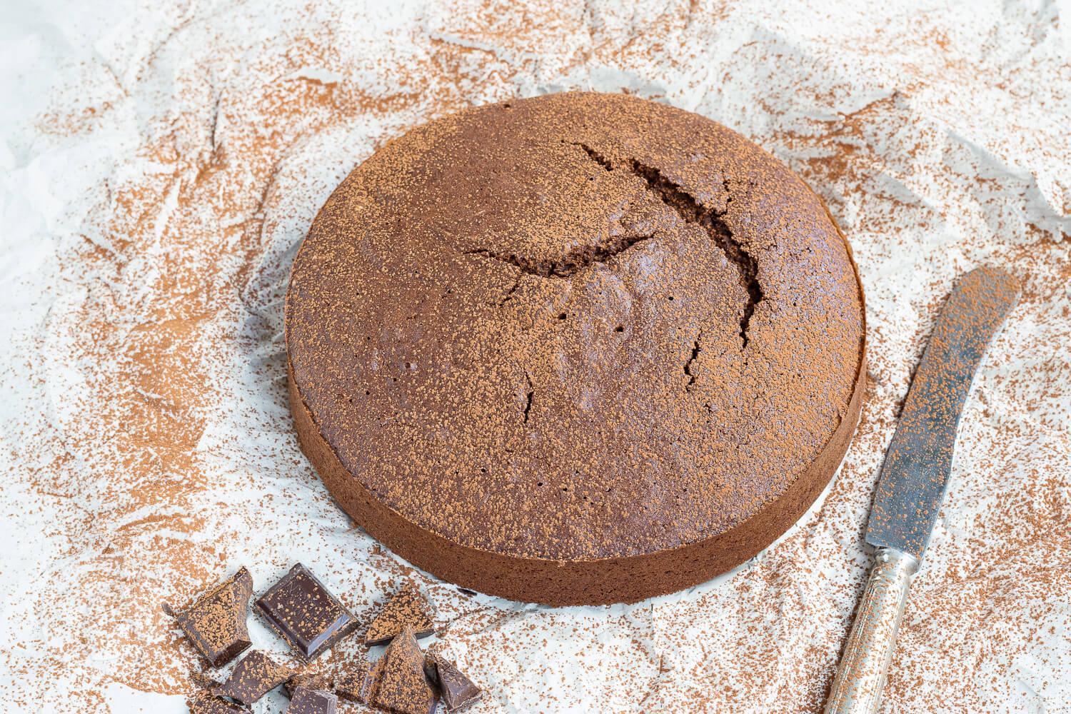 Du betrachtest gerade Polnischer Schokokuchen