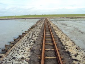 Hallig Nordstrandischmoor