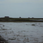 Hallig Nordstrandischmoor