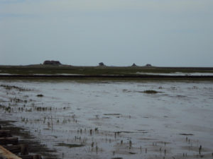 Hallig Nordstrandischmoor