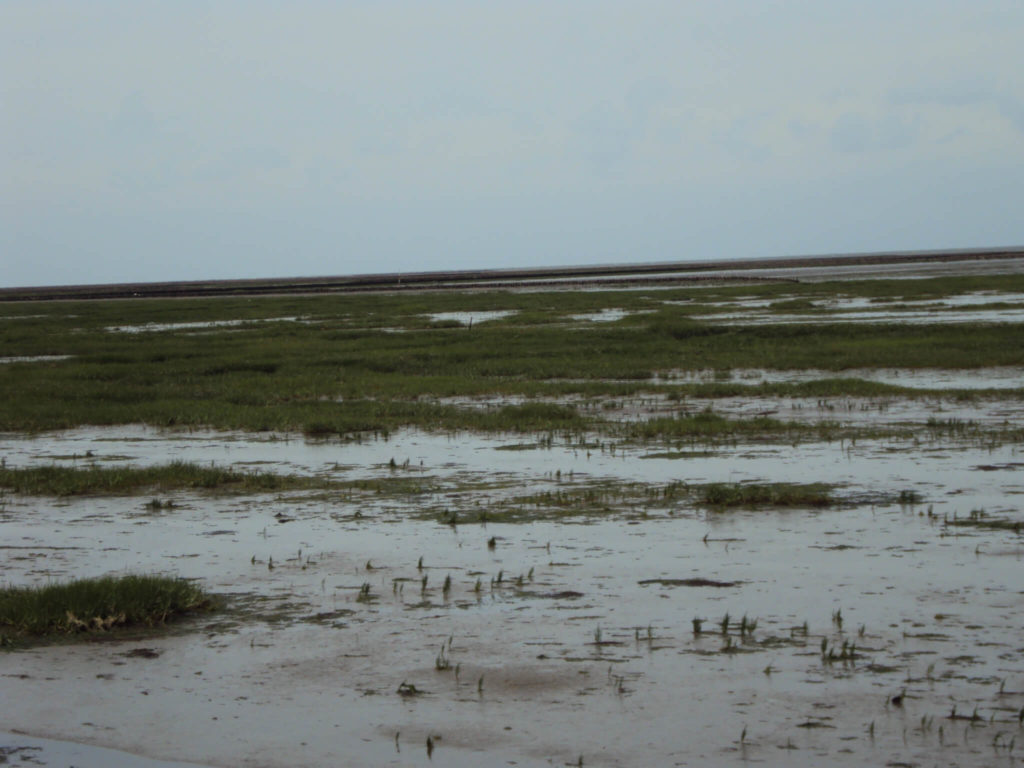 Hallig Nordstrandischmoor