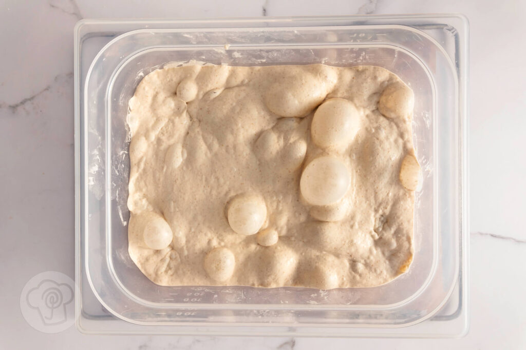 No Knead Ciabatta mit Vollkorn 7 No Knead Ciabatta- Zubereitung