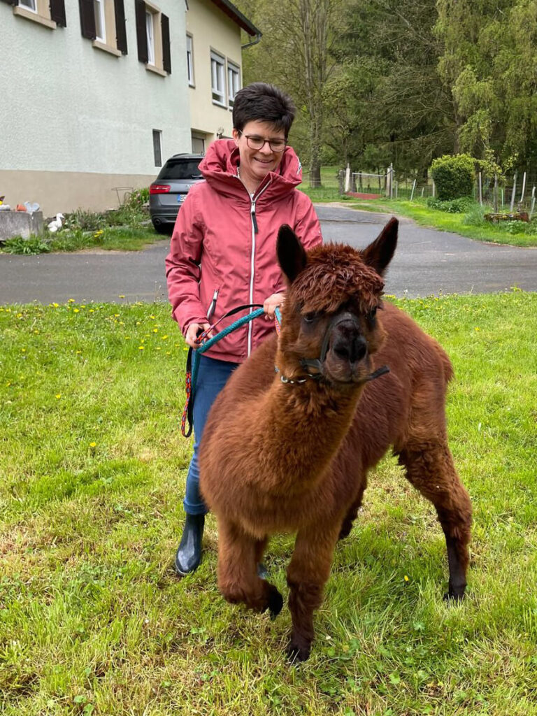 Lama Kindergeburtstag