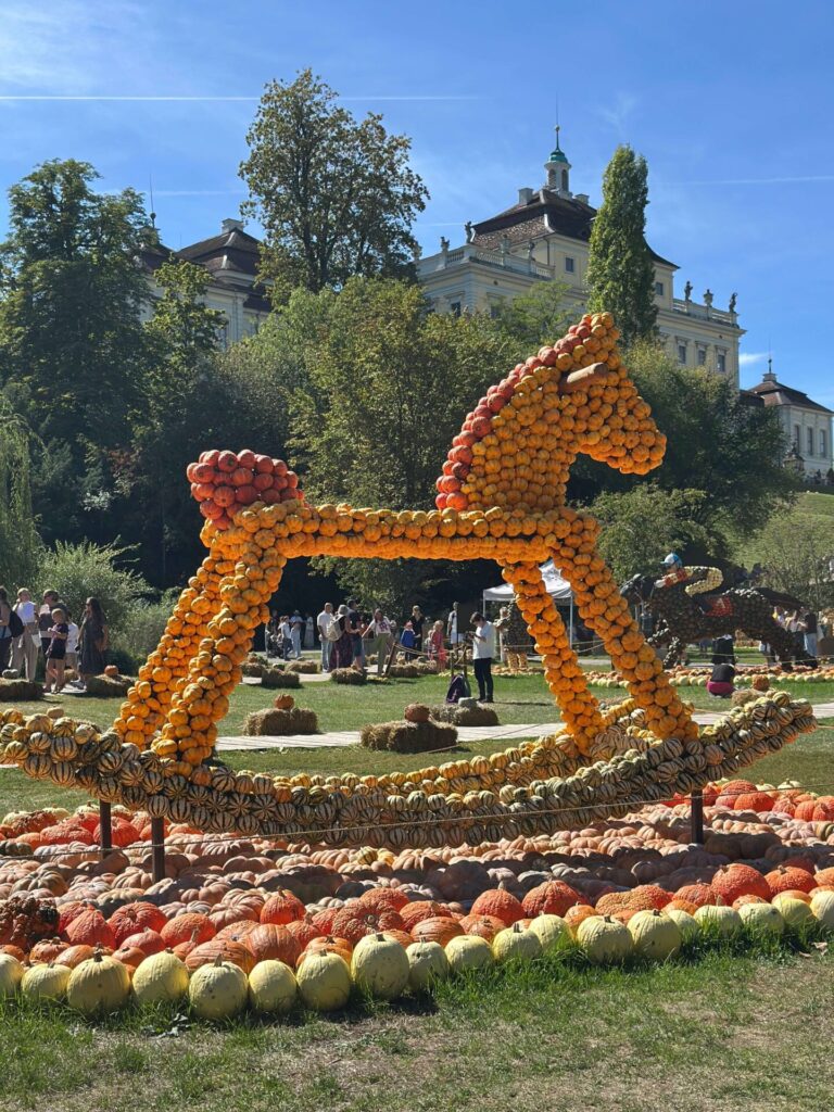 Kürbispüree einfach selber machen 19 Kürbisausstellung
